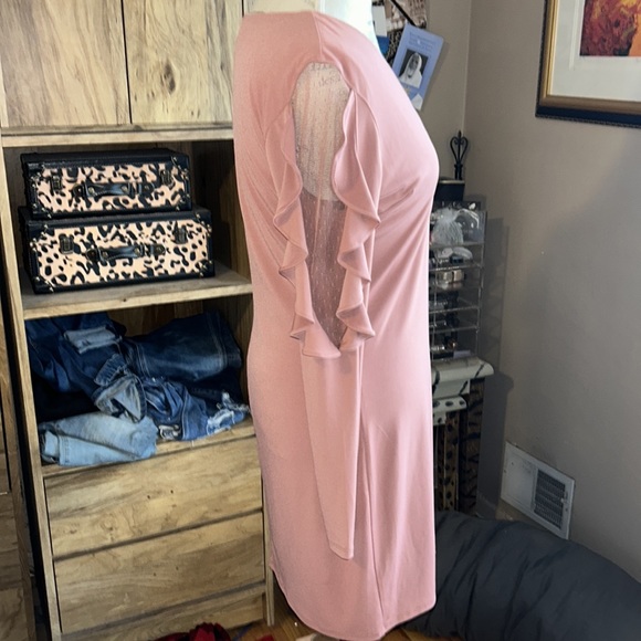 Express Stretch Lace & Ruffle Sleeve Dress - Medium - Picture 2 of 4